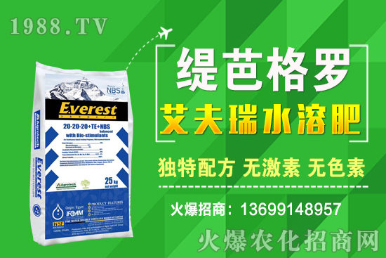 小麥價格漲了！十月小麥行情預(yù)測！