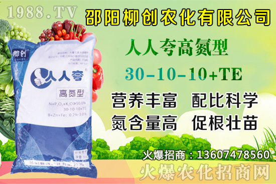 金銀花樹苗怎么種？金銀花樹苗種植技術及田間管理！