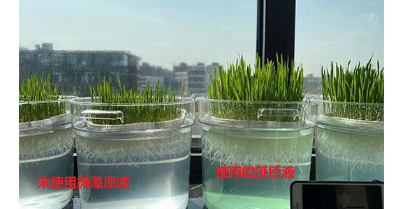 ΢��ԭҺ-һ�n��-�̩_16