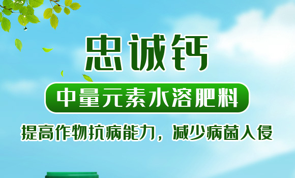 �ЙCˮ�ܷ���-���\�V-�����r(n��ng)_01