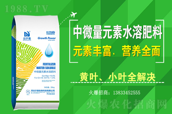 黃花菜該怎么種植？黃花菜種植過程需注意哪些問題？