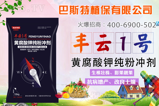 土壤板結(jié)/鹽漬化/酸化難解決？就用黃腐酸鉀純粉劑！