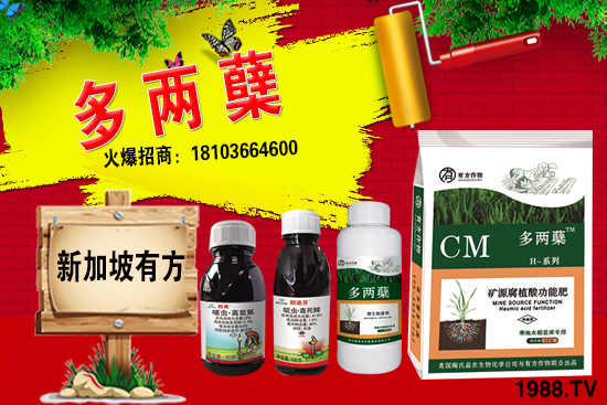 2021葡萄柚種植前景如何？葡萄柚和普通柚子有何區(qū)別？