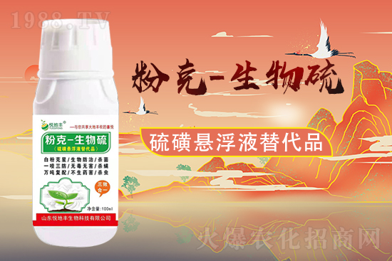 山東悅地豐續(xù)約1988.TV！共謀合作新發(fā)展