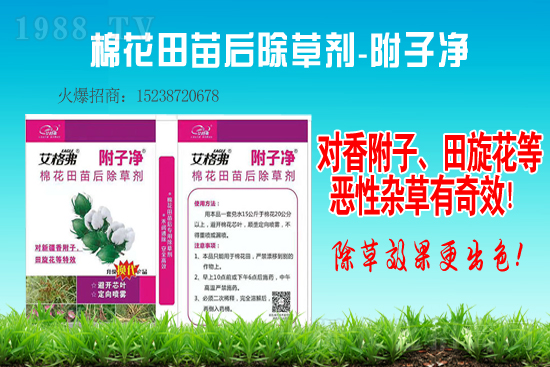 氯吡嘧磺隆除草劑價格2021.2.4