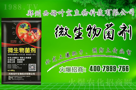 春季適合露地栽培的蔬菜品種有哪些？有哪些種植注意事項(xiàng)？