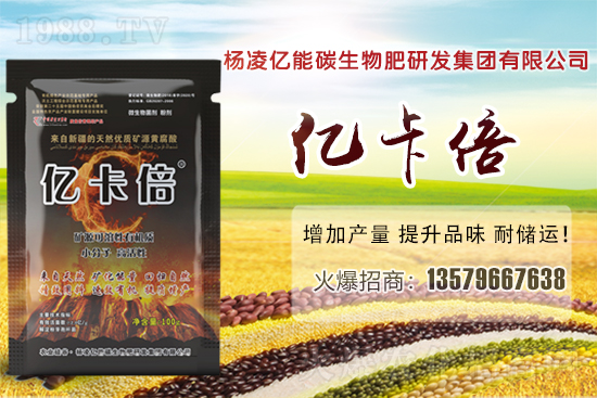 菠蘿蜜產(chǎn)地在我國哪些省份？菠蘿蜜有哪些常見品種？