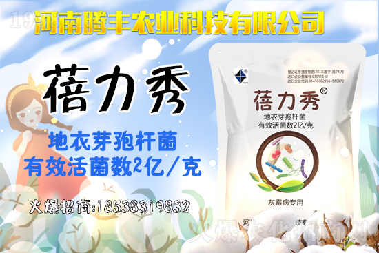 西葫蘆品種有哪些？西葫蘆的種植注意事項(xiàng)