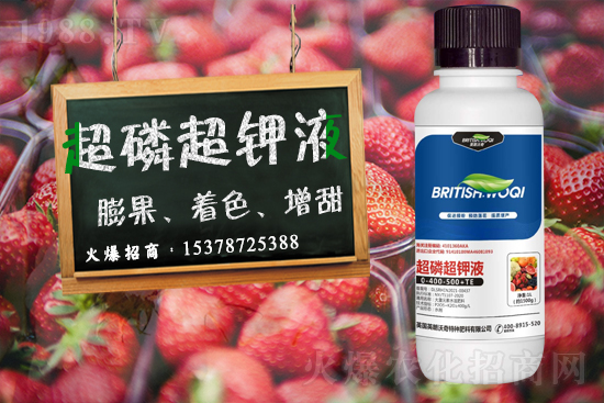 英朗沃奇成功簽約1988.TV,攜手共創(chuàng)新戰(zhàn)績!