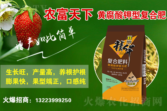 復(fù)合肥市場行情分析，2021年6月10日化肥行情走勢：