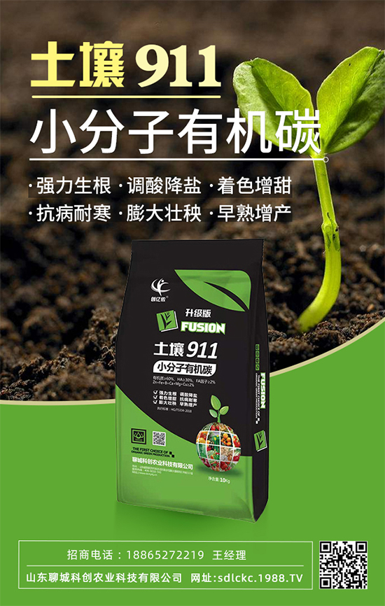 山東聊城科創(chuàng)再簽1988.TV，共謀合作促雙贏！