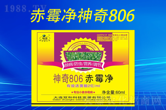 合作再升級(jí)！大連雙和科技再簽1988.TV，共創(chuàng)新輝煌！