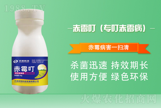 合作再升級(jí)！大連雙和科技再簽1988.TV，共創(chuàng)新輝煌！