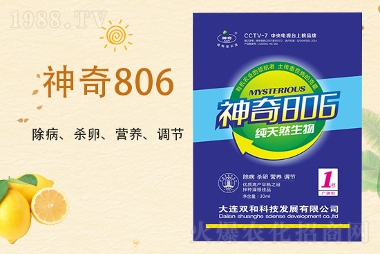 合作再升級(jí)！大連雙和科技再簽1988.TV，共創(chuàng)新輝煌！