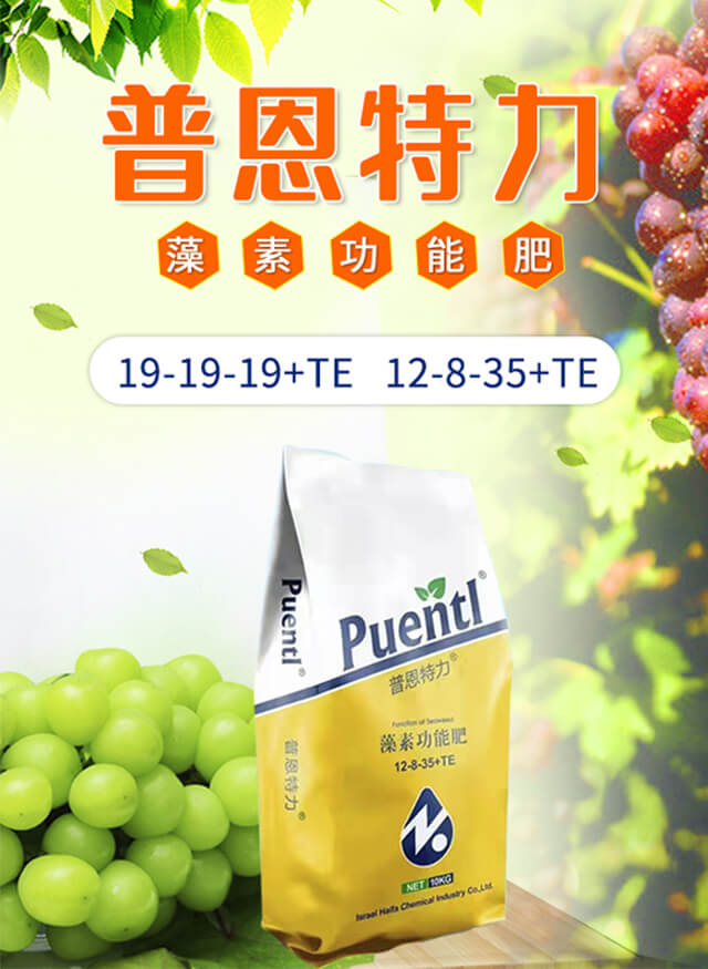 普恩特力-海法特種肥業(yè)_01