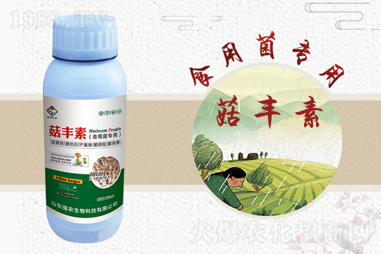 平菇栽培要點，需要注意哪些事項？