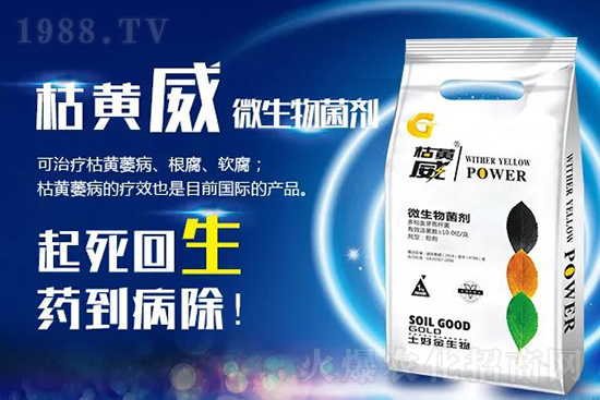 枯黃萎、立枯等病害怎樣滅殺？用它就夠了！