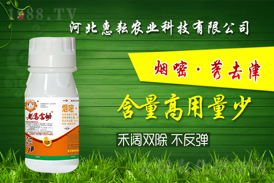 封殺雙效！禾闊通除！玉米田除草記住這個(gè)配方就夠了! 