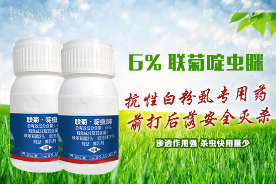 抗性白粉虱難防又難治？這樣用藥蟲卵雙殺，死蟲！