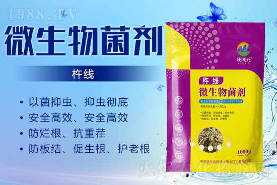 作物的根系，決定作物的產(chǎn)量