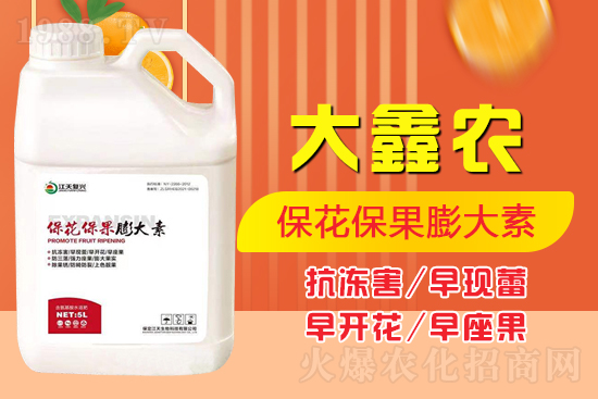 夏季保果膨大少不了，如何保果膨大？