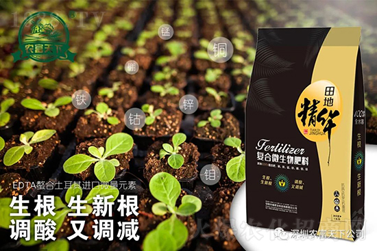 西瓜裂瓜怎么預(yù)防？了解這些西瓜滾滾品質(zhì)高！