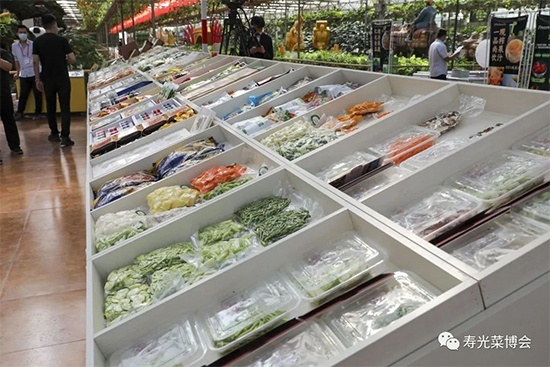 第二十三屆壽光菜博會(huì)5
