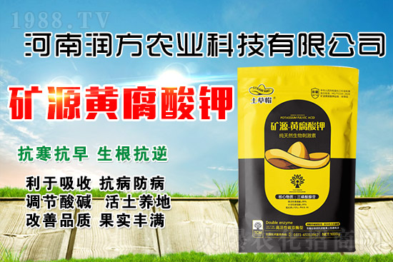 礦源黃腐酸鉀為什么牛？怎么用才能效果翻倍？