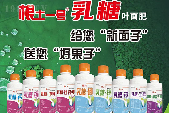 獼猴桃需肥特點(diǎn)有哪些？獼猴桃膨大肥怎么施