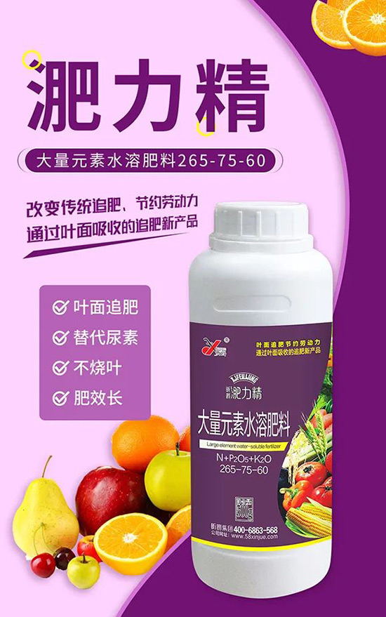 玉米追肥復合肥好還是尿素好？很多人都錯了！它才是正確選擇