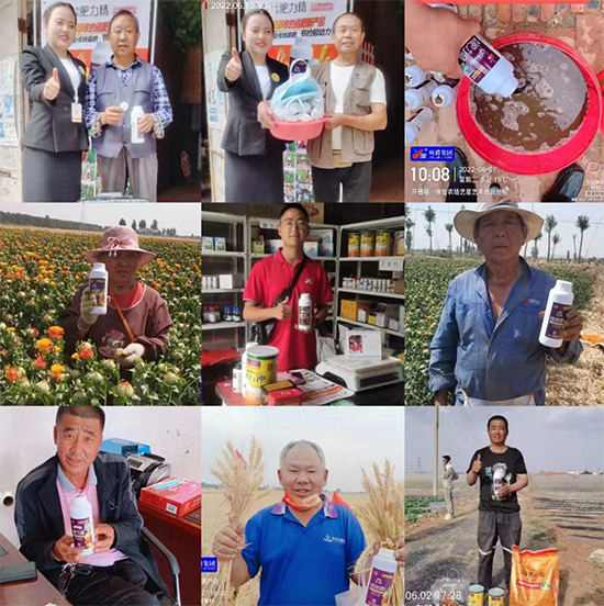 玉米追肥復合肥好還是尿素好？很多人都錯了！它才是正確選擇