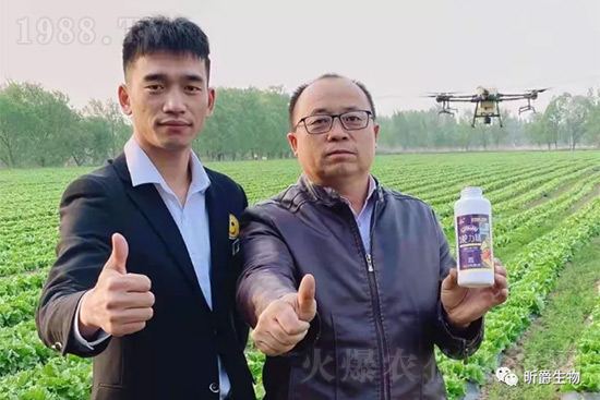 玉米追肥復合肥好還是尿素好？很多人都錯了！它才是正確選擇