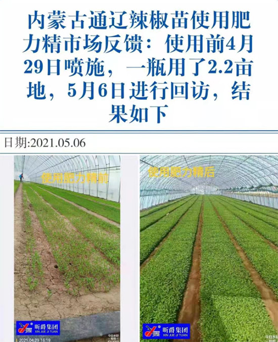 玉米追肥復合肥好還是尿素好？很多人都錯了！它才是正確選擇