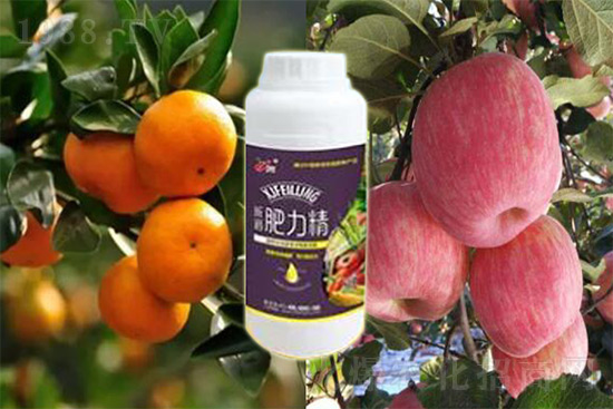 玉米追肥復合肥好還是尿素好？很多人都錯了！它才是正確選擇