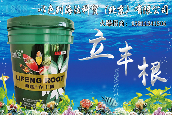 海藻肥生根效果怎么樣？比傳統(tǒng)肥料好在哪