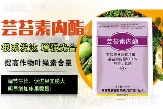 蕓苔素內(nèi)酯為啥被稱為植物救命藥？蕓苔素內(nèi)酯怎么選？