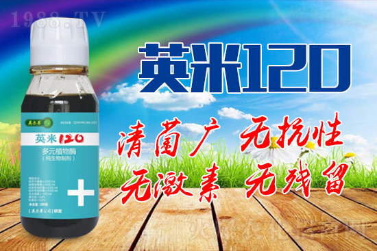 枸杞白粉病的癥狀是什么？枸杞白粉病防治方法！