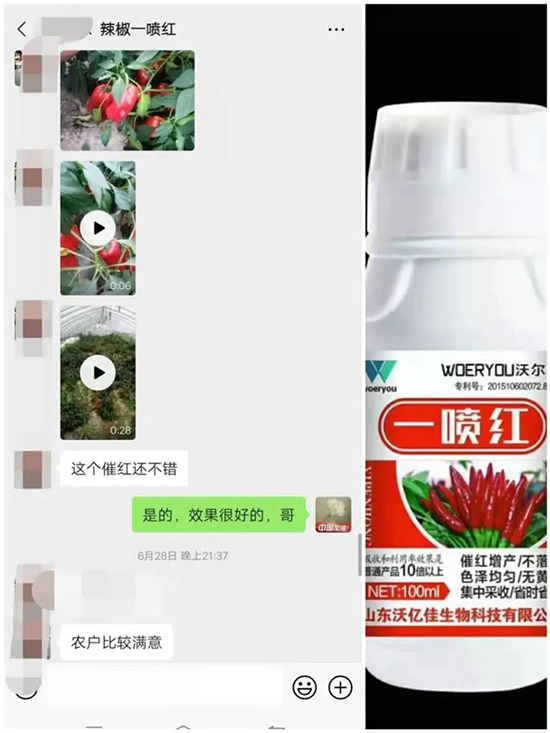 增紅率提高95%！催紅不落葉！收入翻幾番！就用辣椒一噴紅！