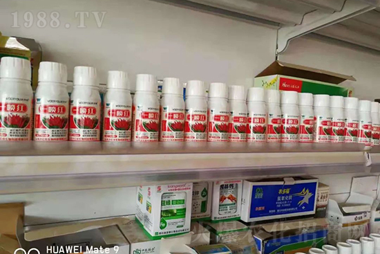 增紅率提高95%！催紅不落葉！收入翻幾番！就用辣椒一噴紅！