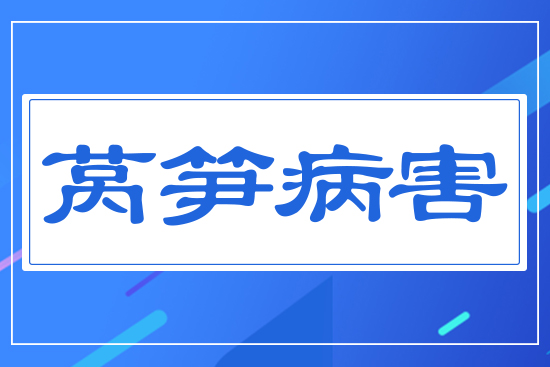 ？萵筍病害
