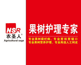 ɽ�|�r(n��ng)ʥ������Ƽ����޹�˾