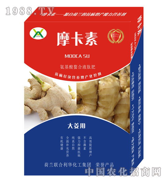 大姜專用氨基酸螯合液肽肥-摩卡素-強(qiáng)芯國(guó)際