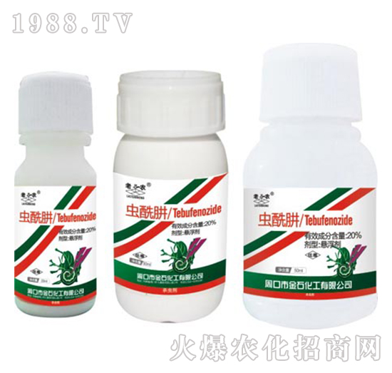 20%�x����-�����r(n��ng)