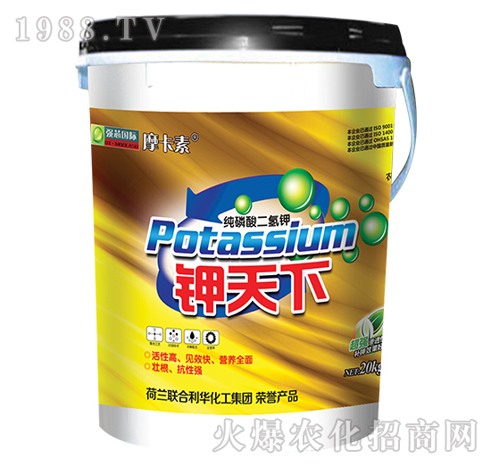 鉀天下-摩卡素-強(qiáng)芯國(guó)際