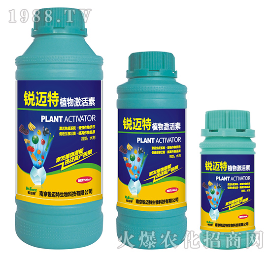 ֲ�Ｄ����-�J�~��