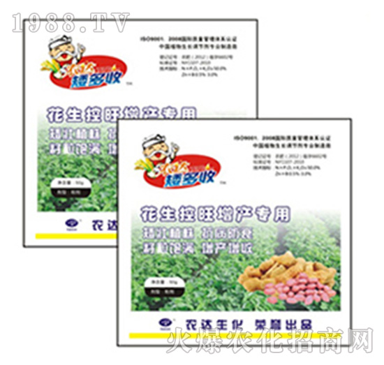 �����������a(ch��n)����-������-�r�_����