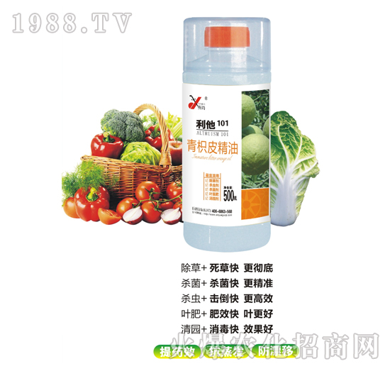 ����Ƥ����-����101-꿾�