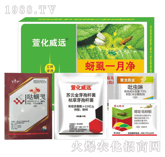 ��ʭһ��-�滯���h(yu��n)