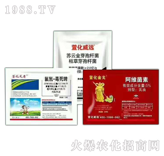 ����ҹ����x(ch��ng)�Ě��焩-���һ��-�滯���h(yu��n)