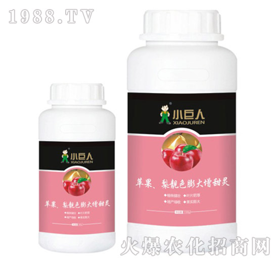 蘋果、梨靚色膨大增甜靈調(diào)節(jié)劑-小巨人